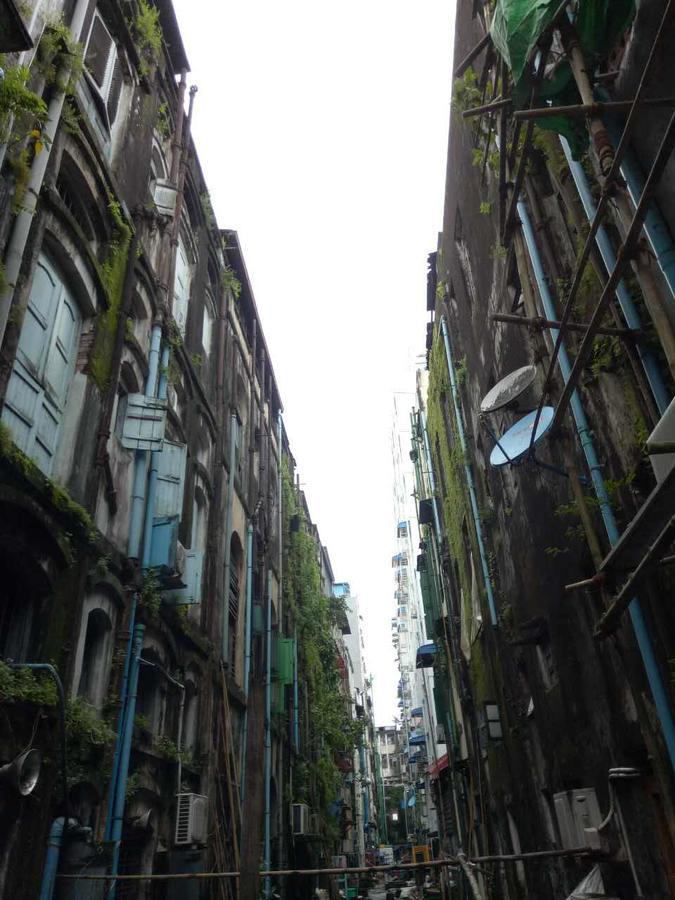 Baobabed Hostel Yangon, Myanmar Exteriér fotografie